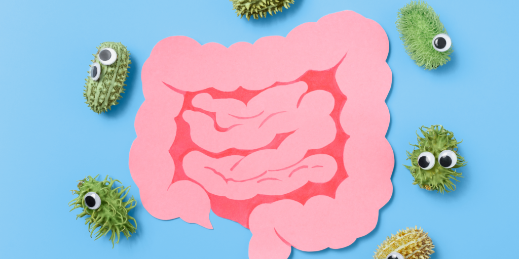 The microbiome - Digestive Health